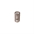 Valve Spring
