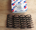 Valve Spring