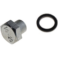 OIL DRAIN PLUG