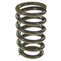 Valve Spring