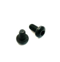 1/4-20 Torx Bolt - for Cam Retainer Plate SBC