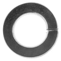 Engine Miscellaneous: Split Lock Washers; hardware