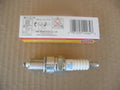 NGK STANDARD SPARK PLUG SHOP PACK