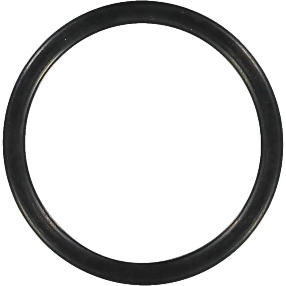 Engine Coolant Thermostat Housing Seal - 71-31308-00