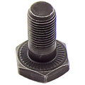 Ring Gear Bolt