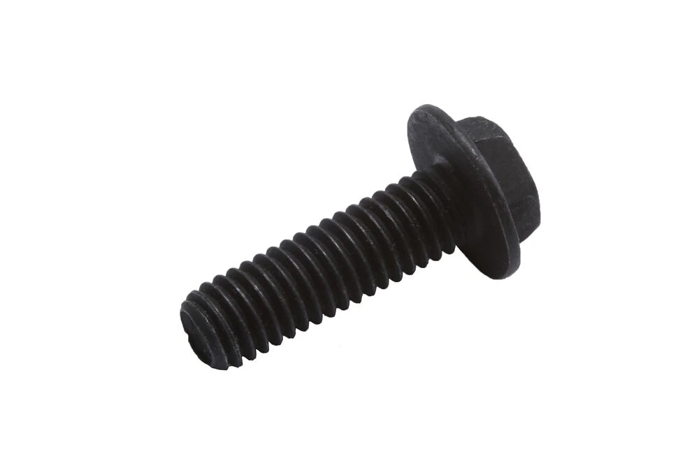 M6X20 STNLS SOCKET HEAD CAP SCRW 10