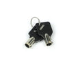 Weigh Safe Keys (Requires Key Code) - Set of 2