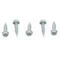 HEX WASHER HEAD 8 X 3/4 WHITE (50/CTN)