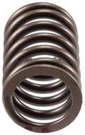 Valve Spring