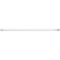 BULB FL (F15T8/CW)-GE