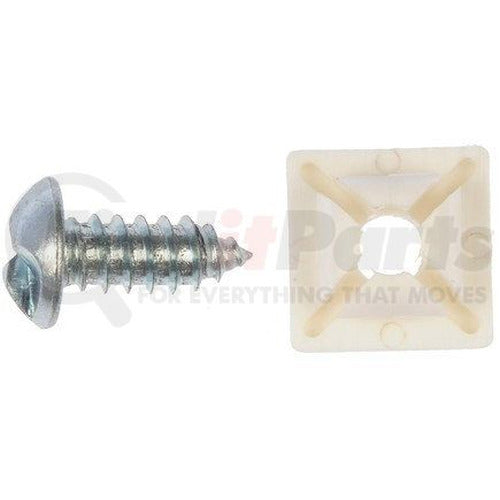 SECURITY SCREW