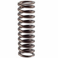 Valve Spring