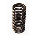 SEALED POWER springs
