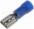 SOLDERLESS TERM