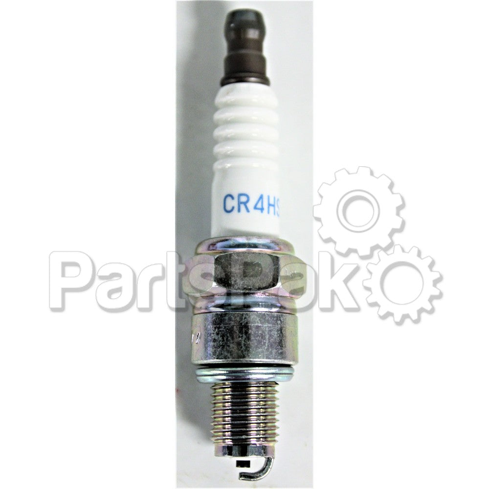 PLUG- 1000W