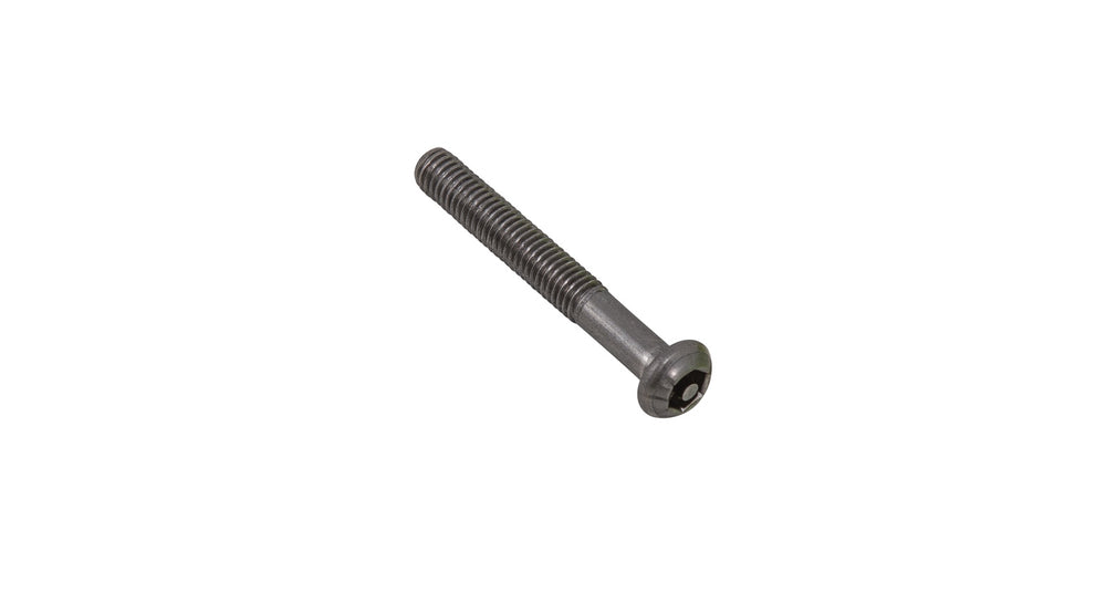 M6 X 45 BUTTON SECURITY LP SCR S S