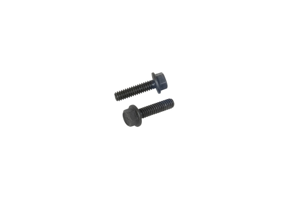 FLANGE BOLT 2 PC.