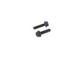 FLANGE BOLT 2 PC.