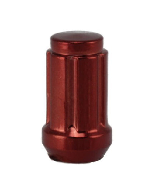 MR LUGNUT