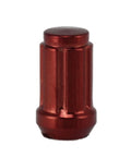 MR LUGNUT