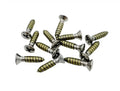 CARPET SILL PLATE SCREW KIT; 62-79