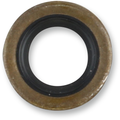 Cometic 14X24X6 Oil Seal