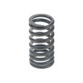 VALVE SPRING