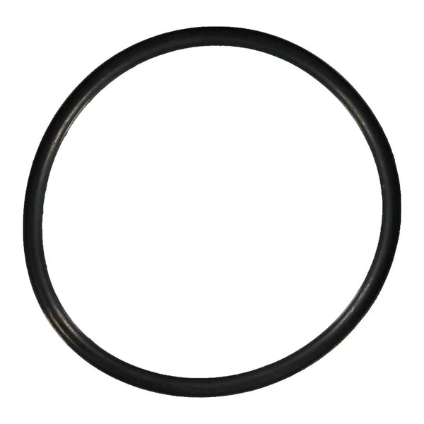 THERMOSTAT GASKET