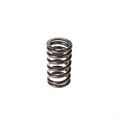 Valve Spring