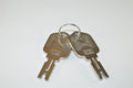 2 KEYS ON RING UNIVERSAL