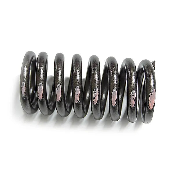 SEALED POWER springs