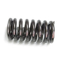 SEALED POWER springs