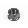 ARP 3/8-24 SS Hex Nut Kit
