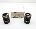Valve Spring