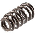 Valve Spring