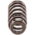 Valve Spring
