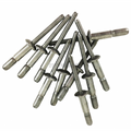 RIVET KIT EXPANDING 10PK
