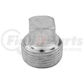 PLUG, SQ.HEAD 3/4