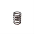 Valve Spring
