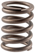 Valve Spring