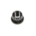 ARP 5/16-18 12pt Nut Kit