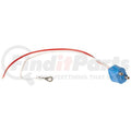 PIGTAIL 10-1/4' LONG CH