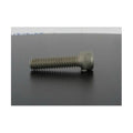 SKT HD SCREW 1/4' X 1'