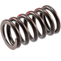 VALVE SPRINGS50 PCS PER BOX