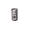 Valve Spring