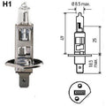 BULB H1 24V 70W P14.5S T2.5