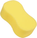 BONE SPONGE