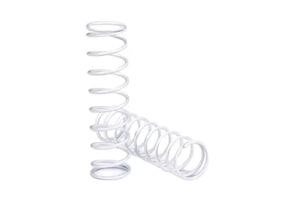 SPRINGS (REAR) (2)