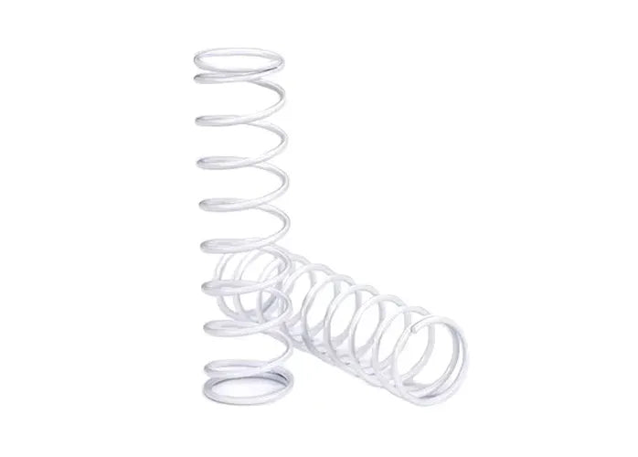 SPRINGS (REAR) (2)
