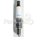 PLUG- 1000W